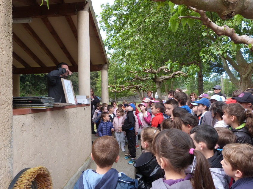 P1160138.JPG